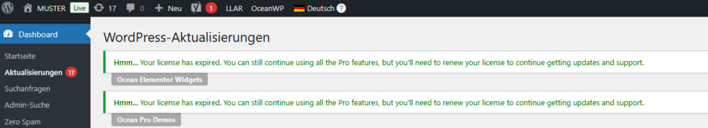 WordPress Dashboard mit 17 ausstehenden Updates